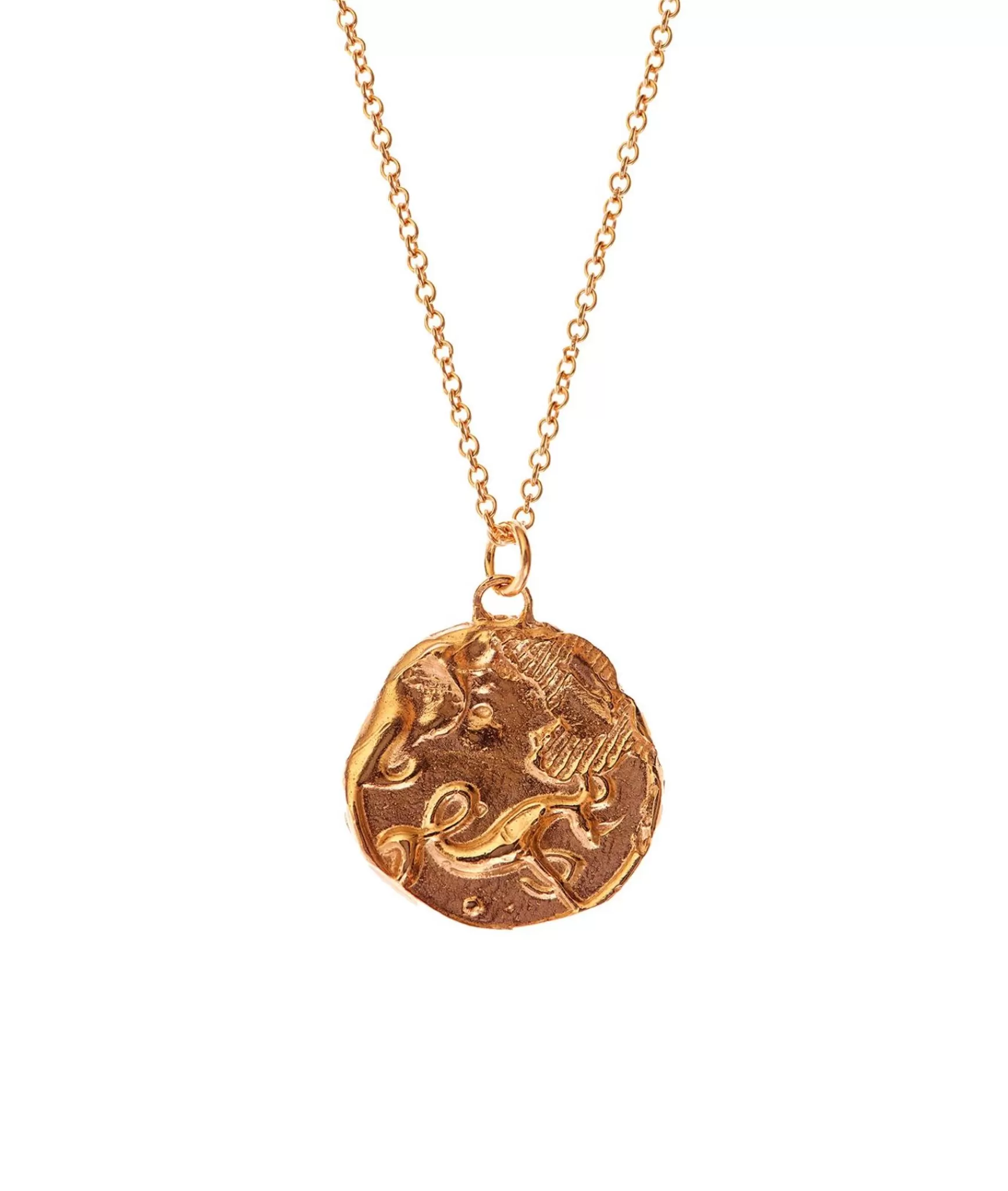 Alighieri Capricorn Necklace Clearance