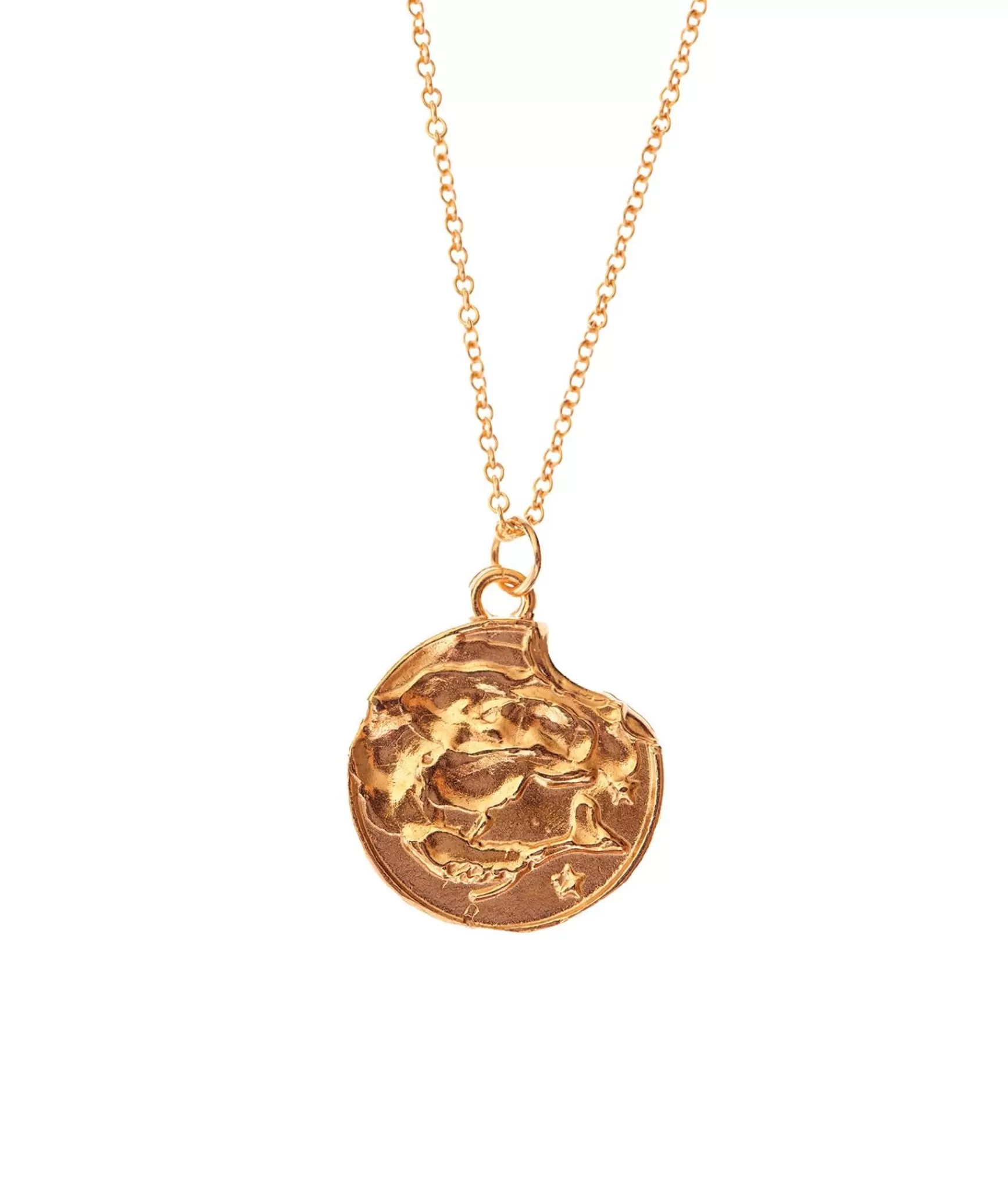 Alighieri Pisces Necklace Shop