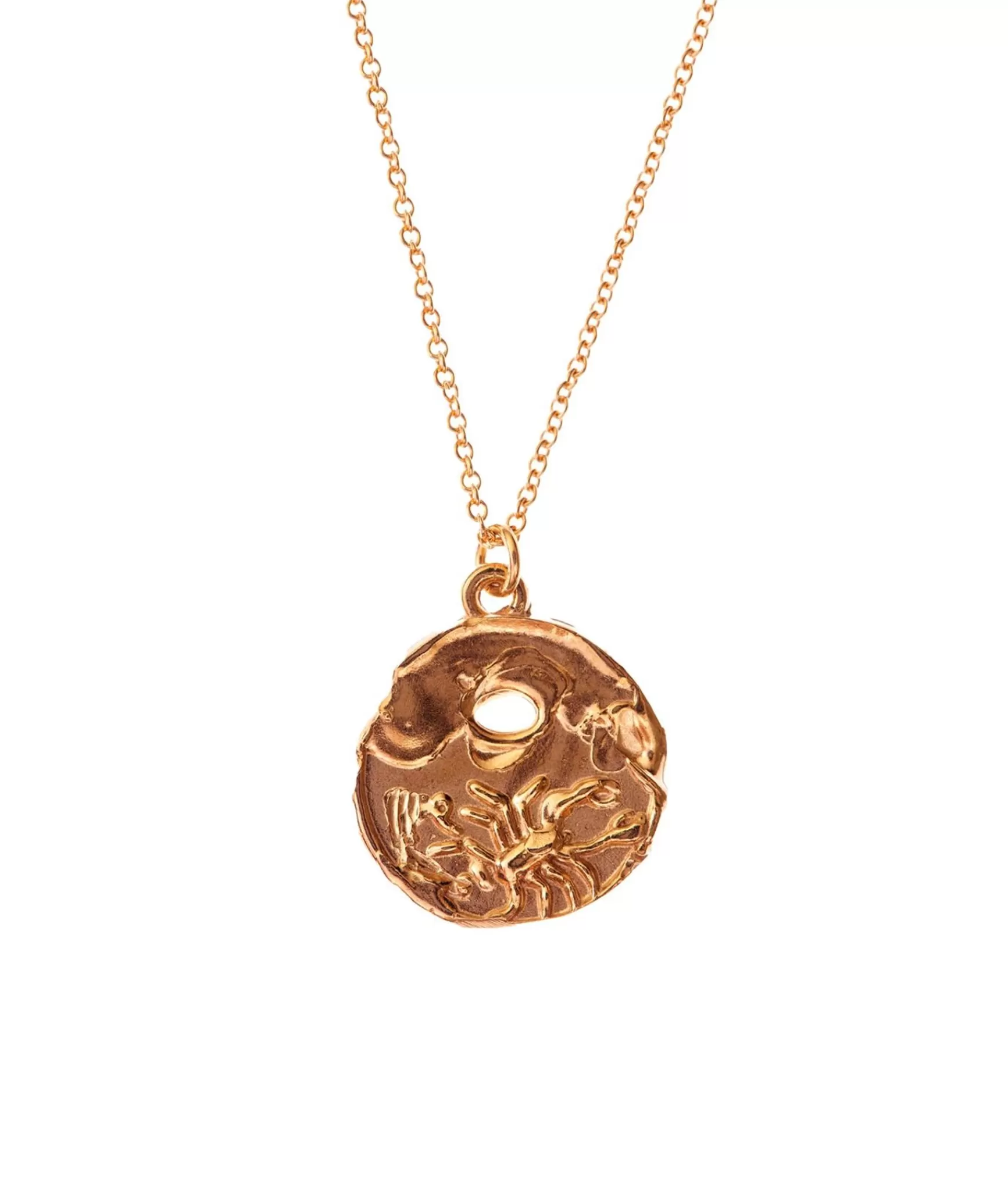 Alighieri Scorpio Necklace Store